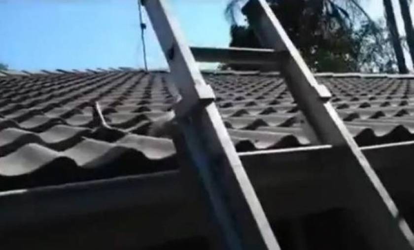 Βίντεο: Απίστευτο τι βγήκε από τη στέγη!