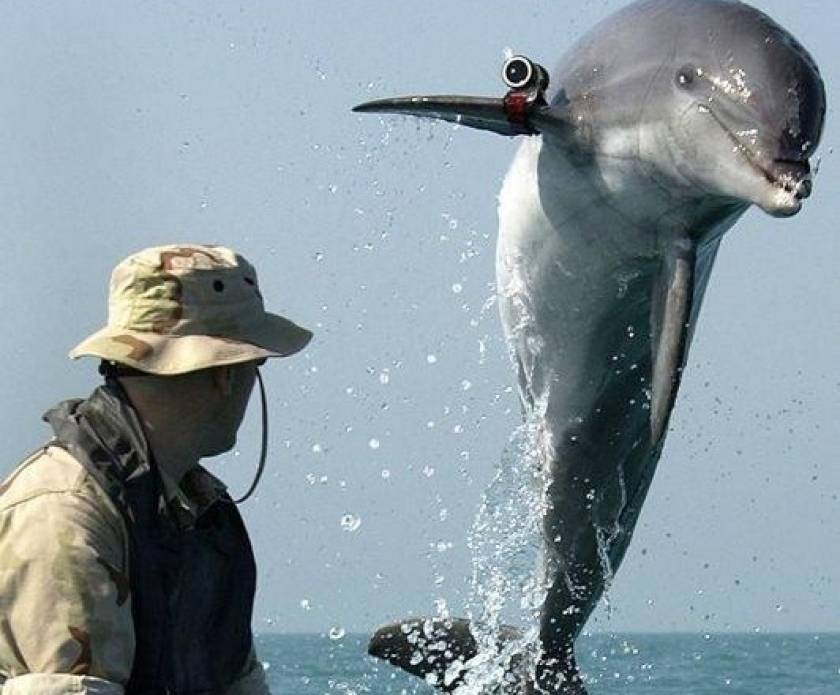 Υποβρύχιος πόλεμος για ΗΠΑ, Ρωσία – Επιστρατεύουν μέχρι και δελφίνια