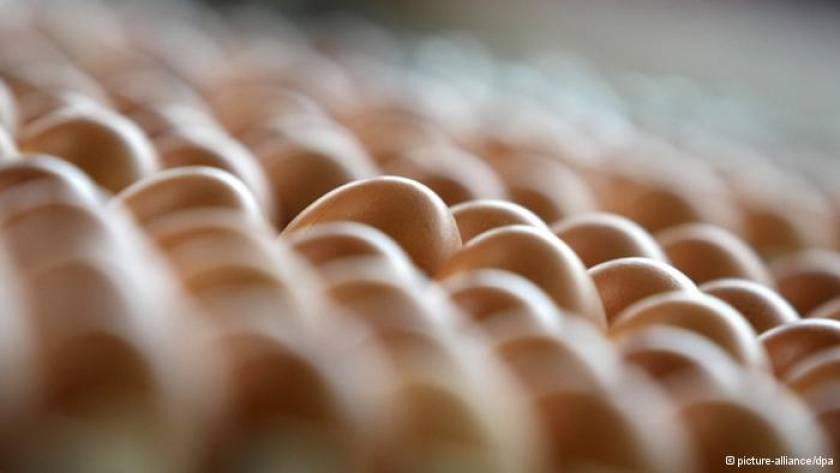 Προσοχή στα βιολογικά αυγά εν όψει του Πάσχα