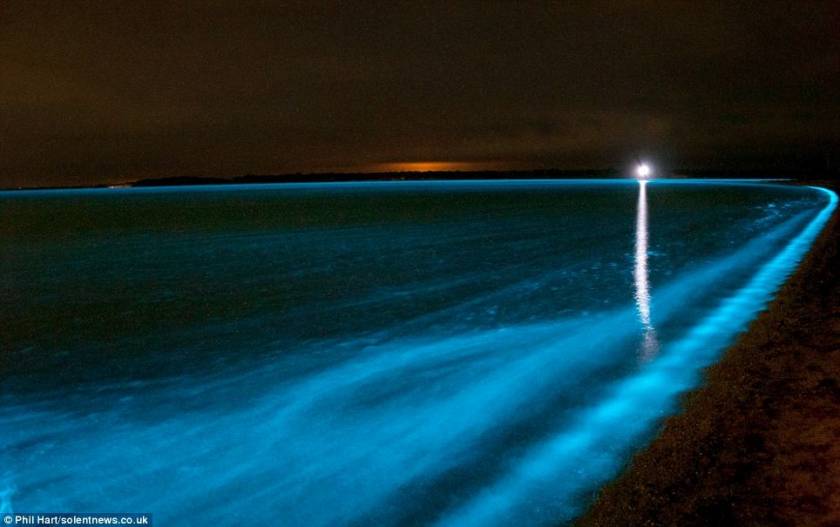 Εντυπωσιακό βίντεο: Η λίμνη που... φέγγει με μπλε χρώμα στο σκοτάδι