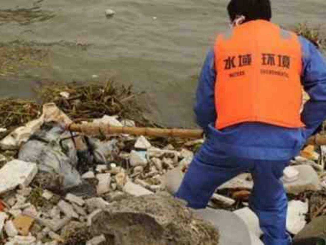 Ξεπέρασαν τις 13.000 τα πτώματα των χοίρων σε ποταμό της Σανγκάης