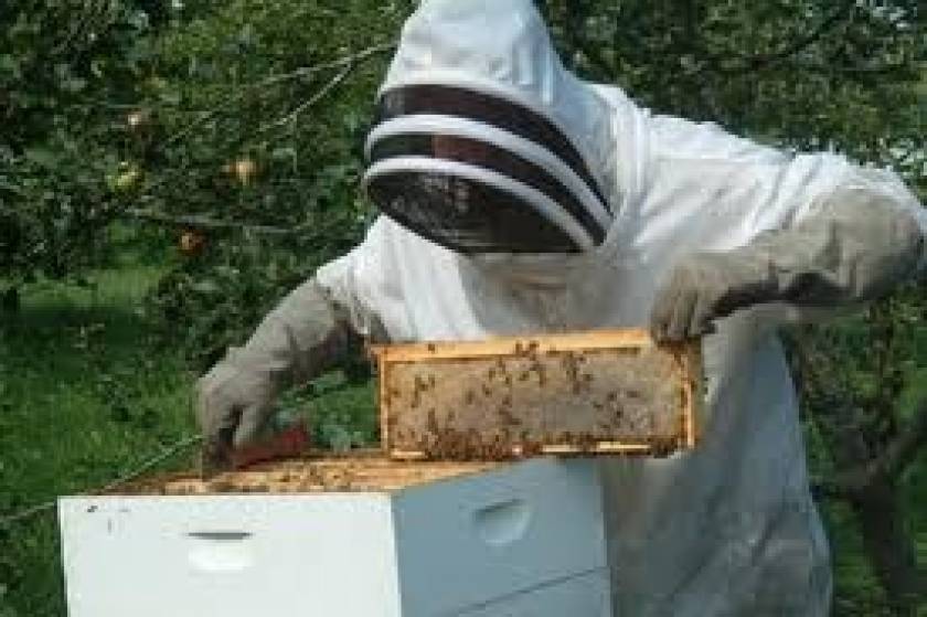 Με το ποσό των 360.000 ευρώ θα ενισχυθεί η μελισσοκομία