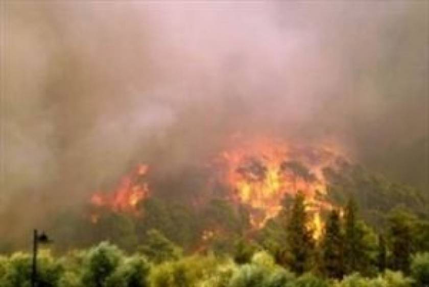 ΤΩΡΑ: Μεγάλη πυρκαγιά σε εξέλιξη στα Χανιά