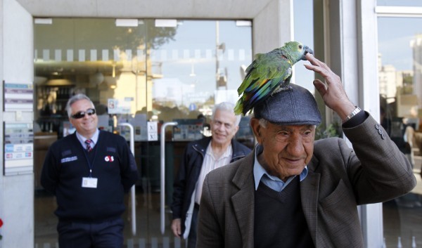 Πήγε στην τράπεζα της Κύπρου με τον παπαγάλο στο κεφάλι! (pic)