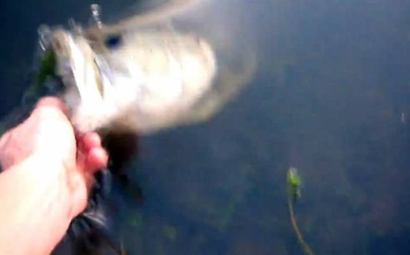 Εντυπωσιακό βίντεο: Ψαρεύει με το... χέρι του!