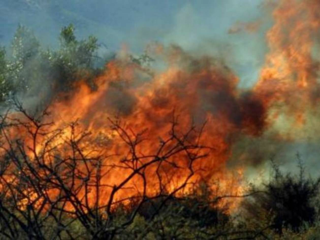 Σε εξέλιξη μεγάλη πυρκαγιά στη Λακωνία