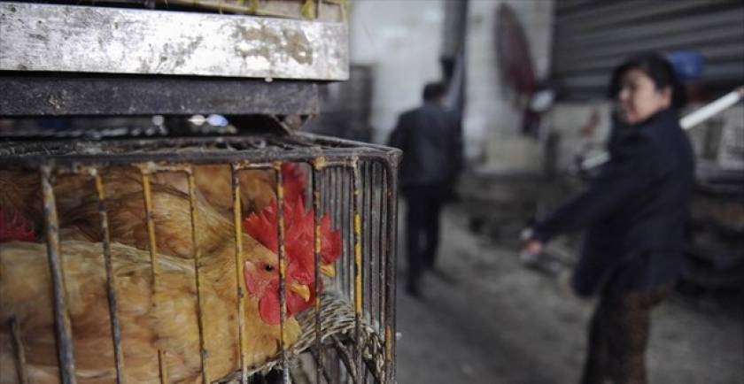 Συναγερμός στη Κίνα μετά τους δύο θανάτους από «γρίπη των πτηνών»