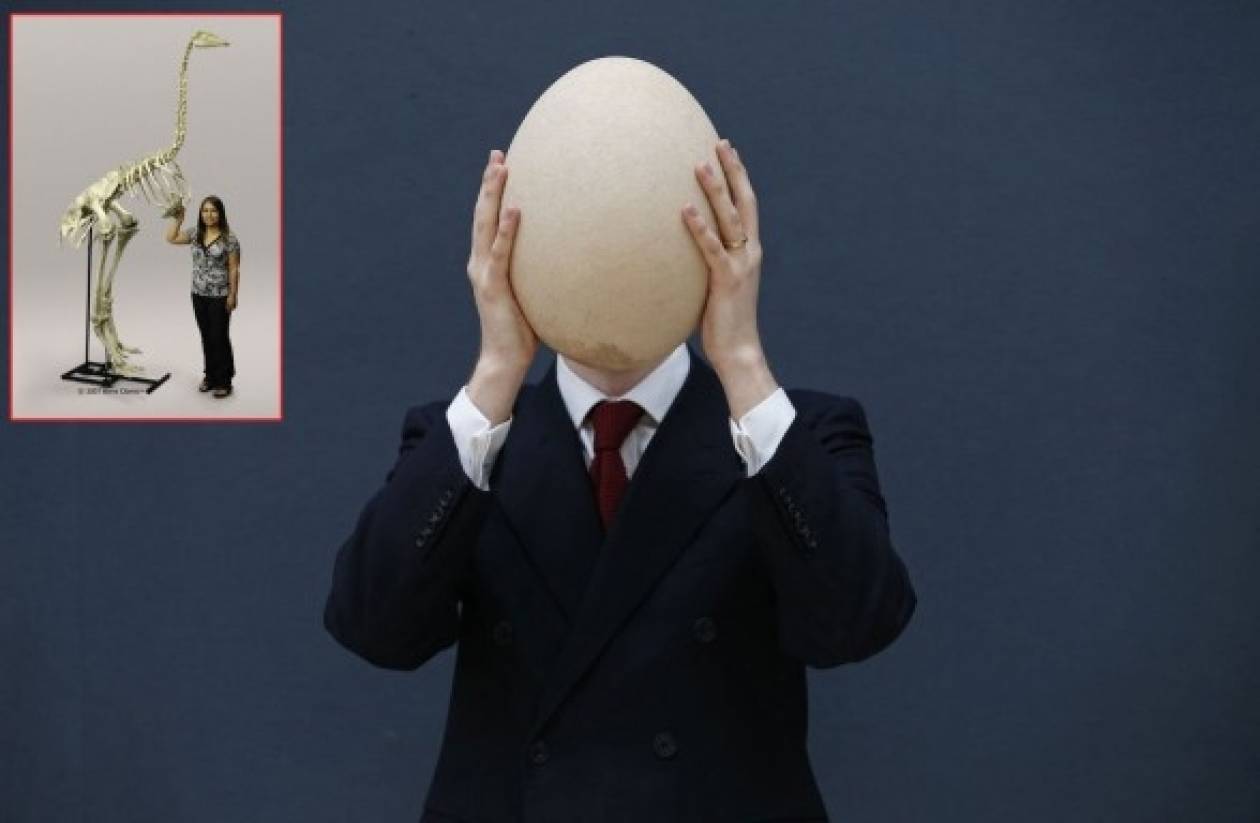 Δεν θα πιστεύετε πόσο κοστίζει το μεγαλύτερο αυγό στον κόσμο!