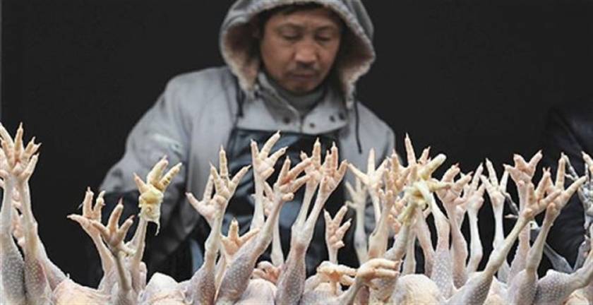 Γρίπη των πτηνών: Έκλεισαν τα καταστήματα πουλερικών στη Σαγκάη