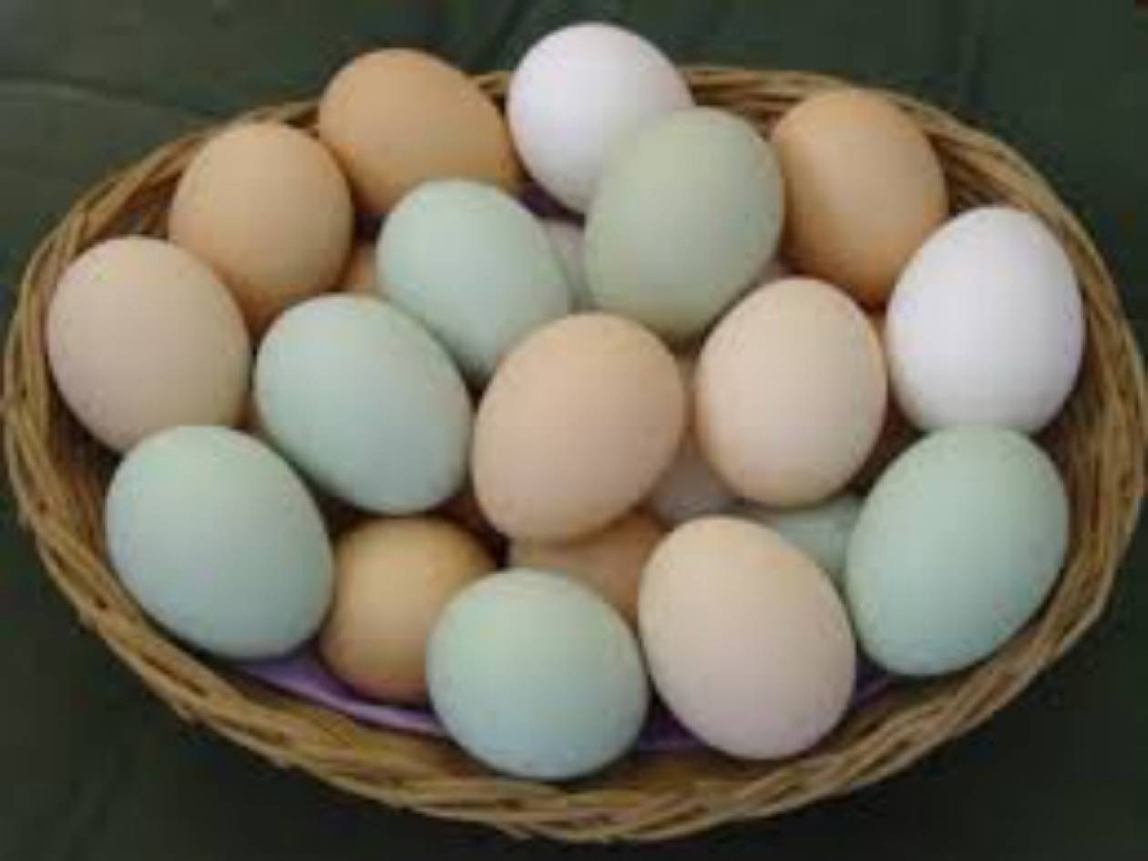Βίντεο: Πώς να κάνετε ομελέτα χωρίς να σπάσετε το αυγό!