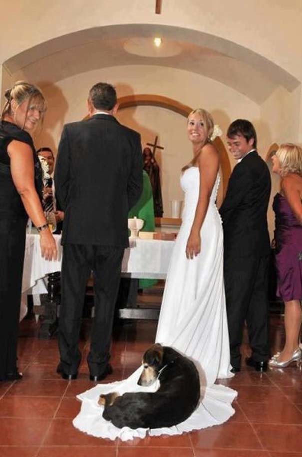 Οι πιο αστείες φωτογραφίες γάμων