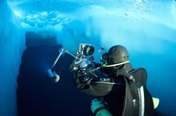 ΜΑΓΙΚΕΣ ΕΙΚΟΝΕΣ: Βουτώντας κάτω από τους πάγους της Αρκτικής!