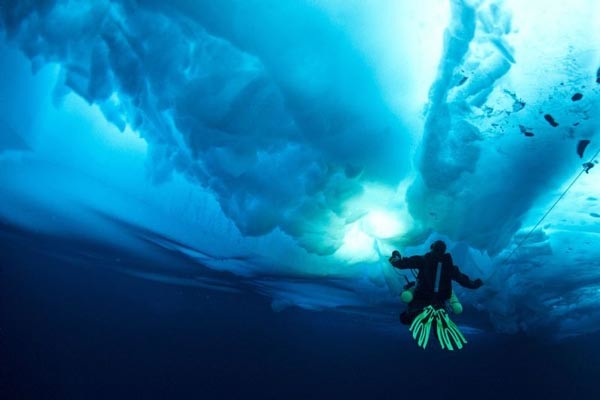 ΜΑΓΙΚΕΣ ΕΙΚΟΝΕΣ: Βουτώντας κάτω από τους πάγους της Αρκτικής!