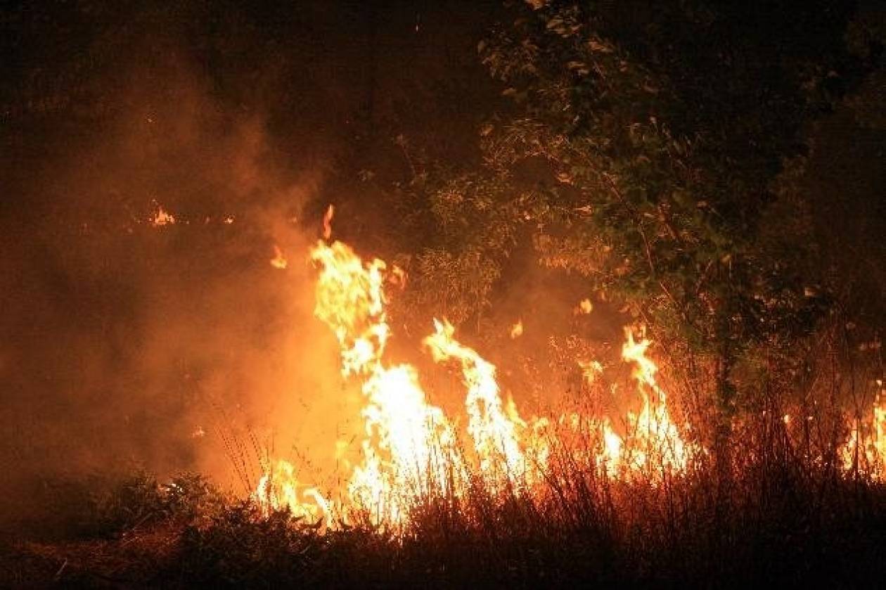 Βίντεο: Σύσκεψη για την αντιμετώπιση των πυρκαγιών στον Έβρο