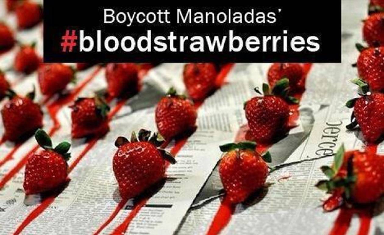 Εκστρατεία για μποϋκοτάζ της «ματωμένης» φράουλας (pics)