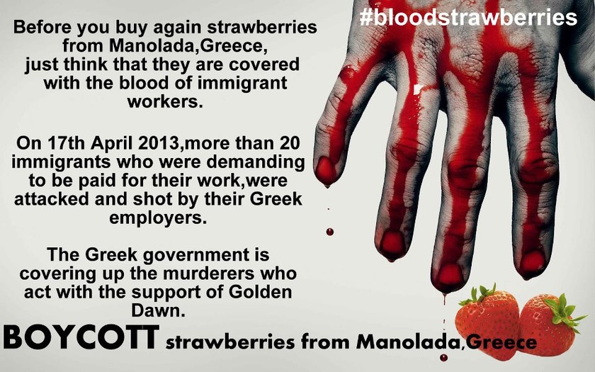 Εκστρατεία για μποϋκοτάζ της «ματωμένης» φράουλας (pics)