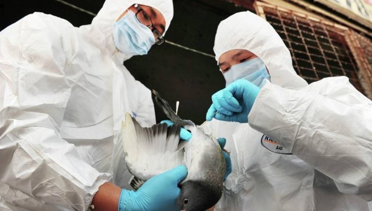 Κίνα: 20 οι νεκροί από τον ιό H7N9