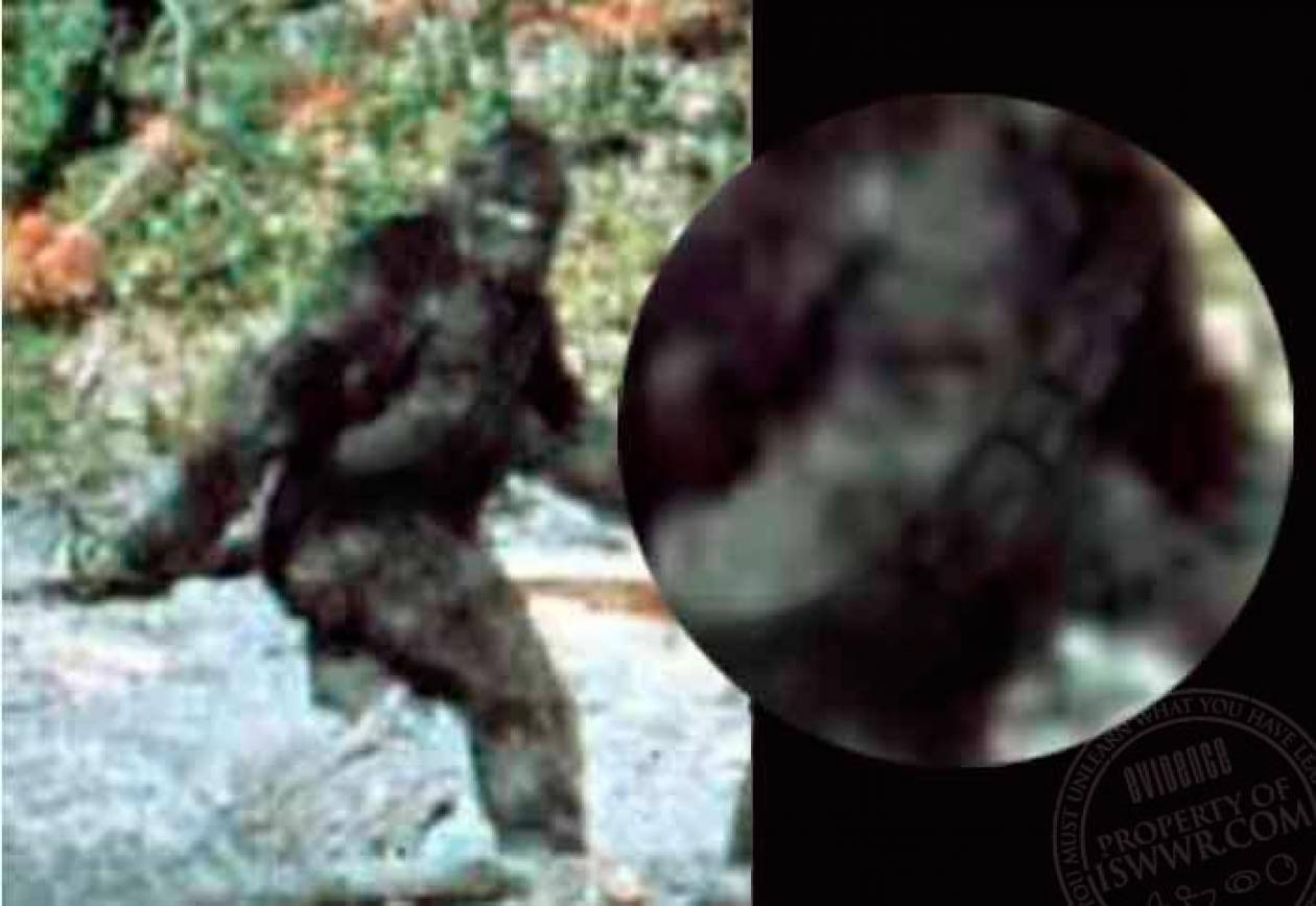 Μυστήριο: Ανακάλυψαν γιγαντιαίο πόδι (pic)