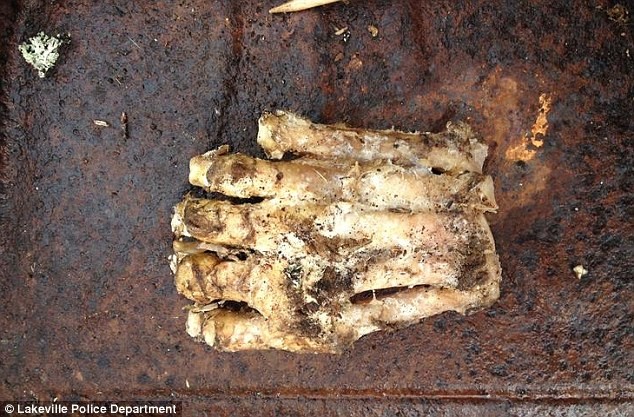Μυστήριο: Ανακάλυψαν γιγαντιαίο πόδι (pic)