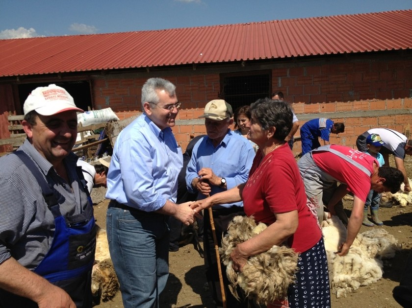Υπουργός κουρεύει πρόβατα!