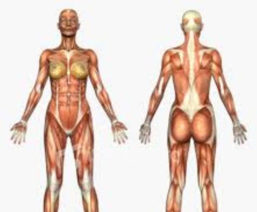 Αυτές είναι οι 35 πιο ενδιαφέρουσες πληροφορίες για το ανθρώπινο σώμα