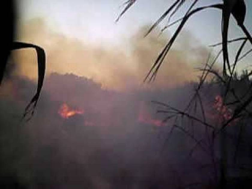 Συναγερμός από φωτιά στην Κρήτη
