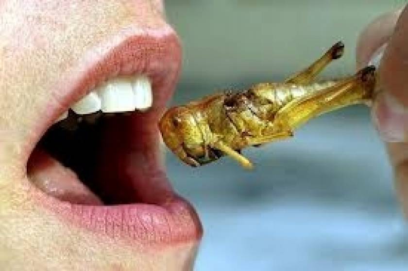 «Τρώτε έντομα»: Σύσταση από τον Παγκόσμιο Οργανισμό Τροφίμων