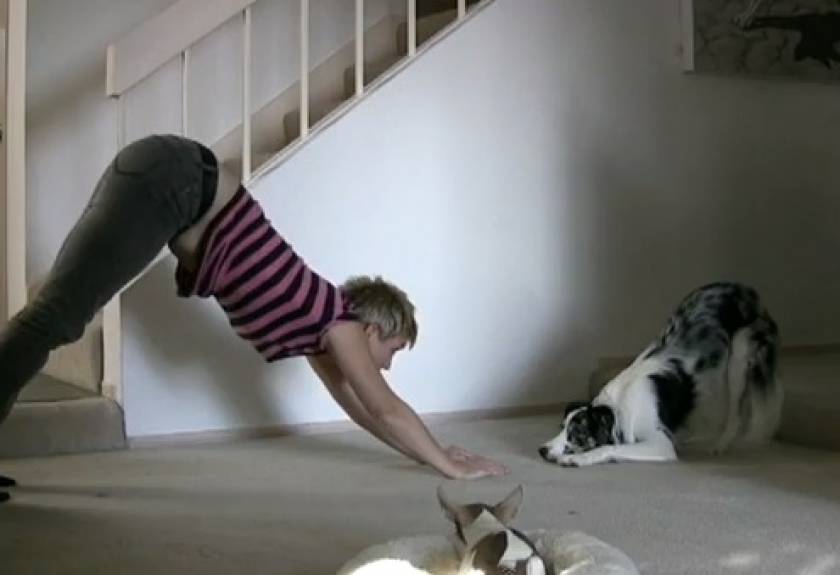 Δείτε: Σκύλος κάνει aerobic και… τρελαίνεται!