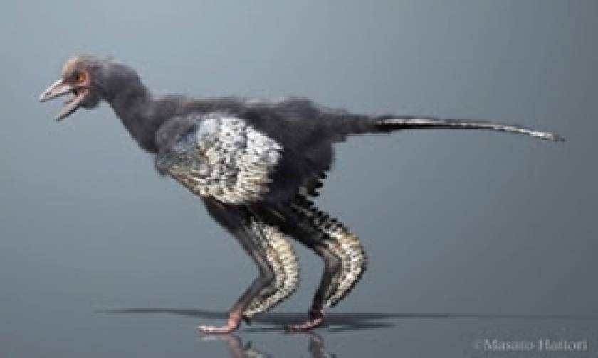 Φτερωτός δεινόσαυρος το πρώτο πουλί στον πλανήτη