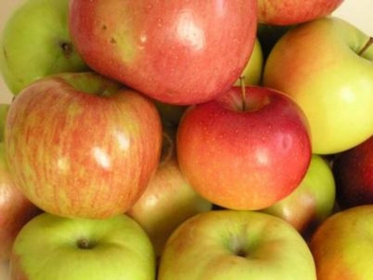 Τέρμα στην προώθηση φρούτων και λαχανικών στα σχολεία Κύπρου
