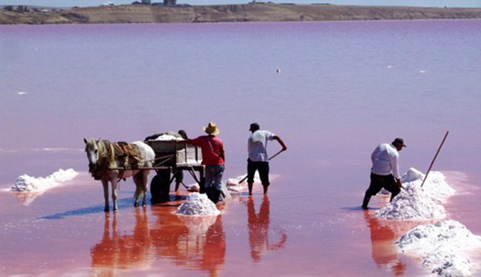 Δείτε τις εντυπωσιακές ροζ λίμνες που υπάρχουν στον κόσμο! (pics)