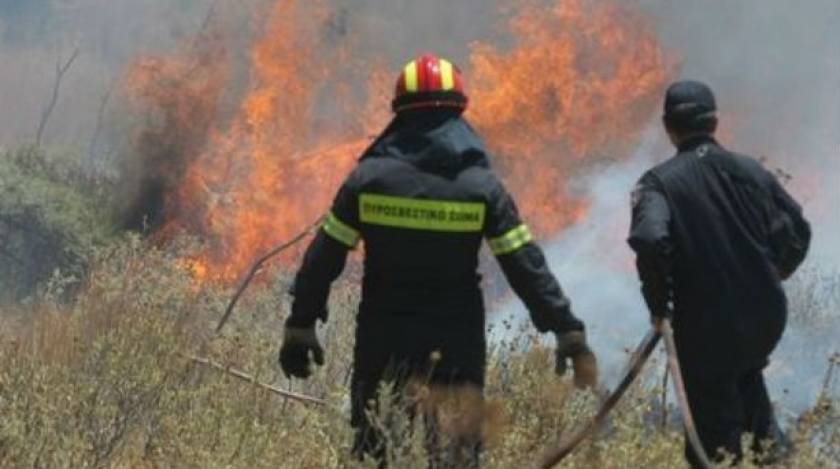 Σε εξέλιξη πυρκαγιά στο Διόνυσο Βοιωτίας