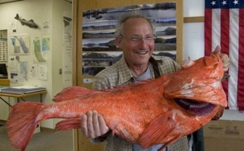 To ψάρι που ανακάλυψε το ελιξήριο της ζωής! Είναι πάνω από 200 ετών