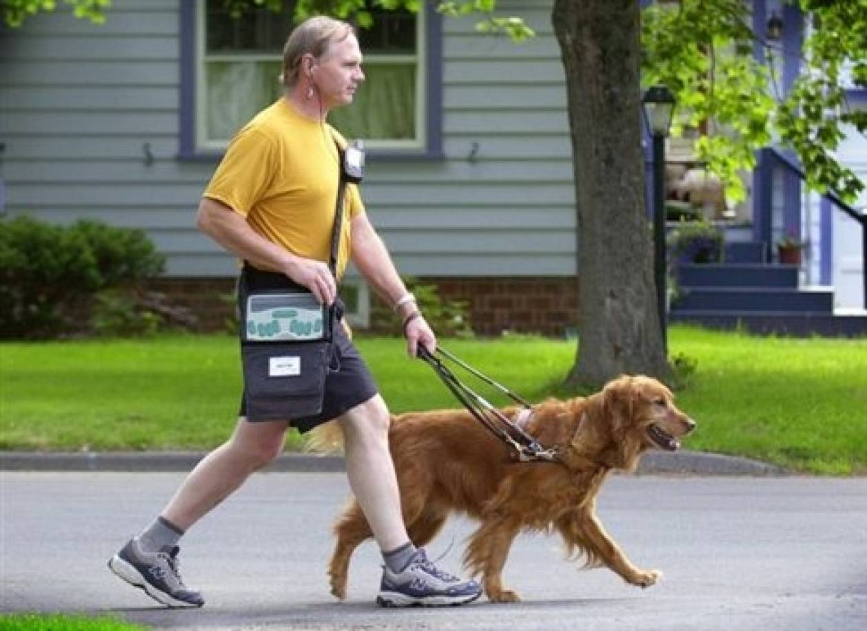 Συγκινητική ιστορία: Δυο τυφλοί ερωτεύτηκαν χάρη στα σκυλιά τους