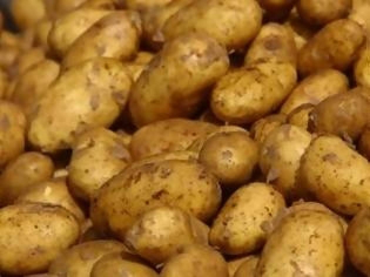 Τρίπολη: Επτά τόνοι πατάτας σε άπορους