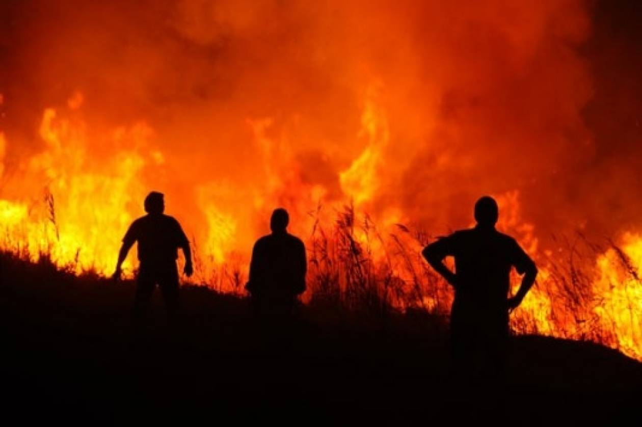 Βίντεο: Μεγάλη πυρκαγιά στην Κύμη Ευβοίας