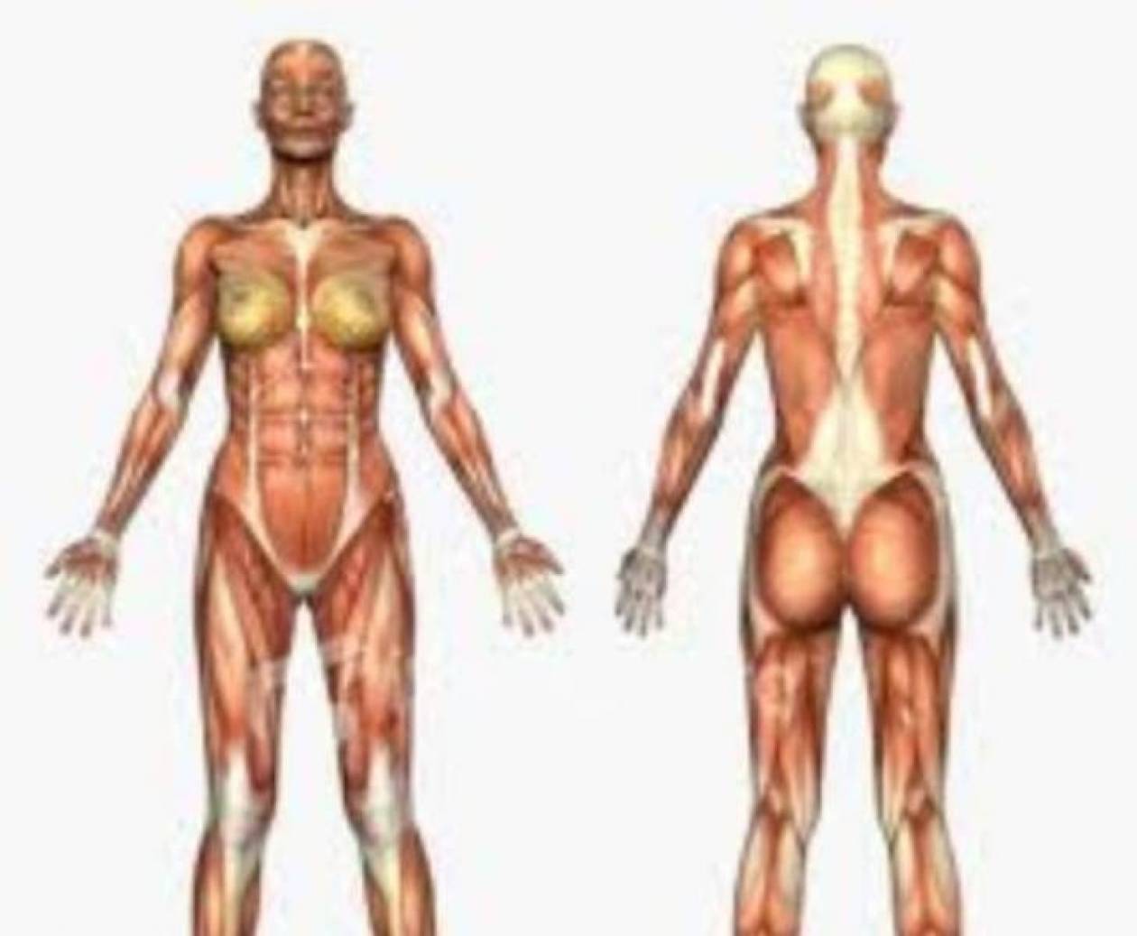 Δείτε τις άγνωστες λειτουργίες του ανθρώπινου σώματος