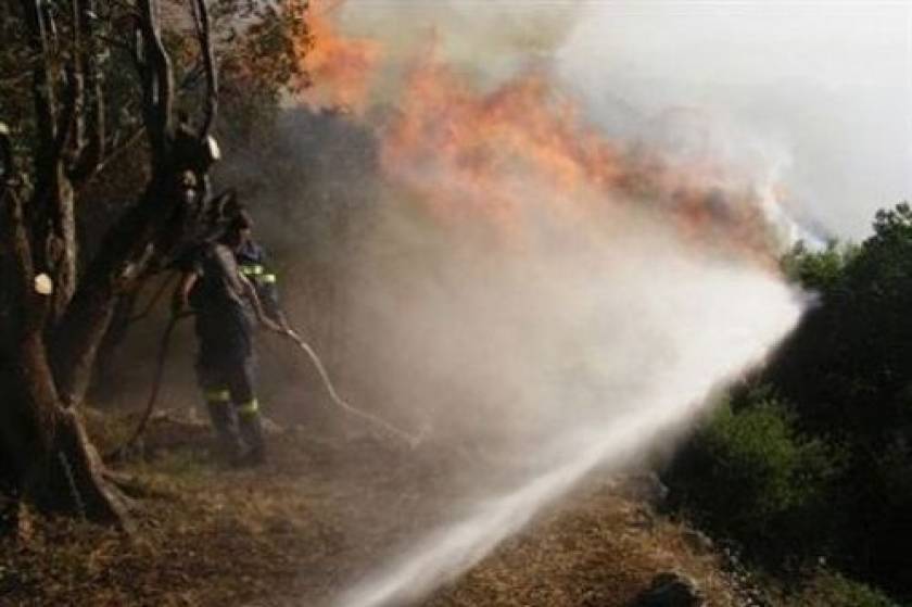 Κρήτη: Υπό έλεγχο η φωτιά στη Βιάννο