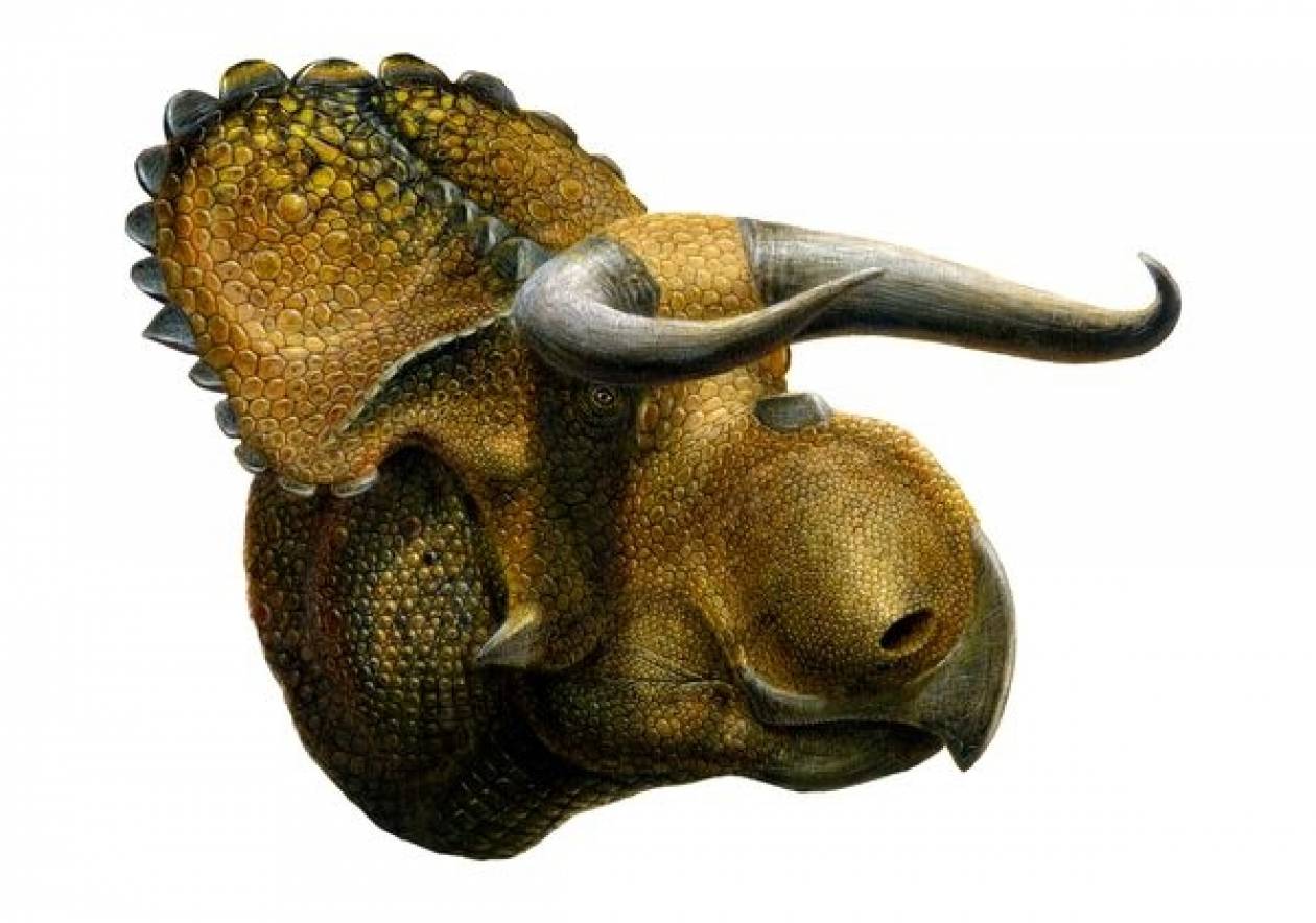 Νέο είδος δεινοσαύρου ανακαλύφθηκε στη Γιούτα των ΗΠΑ!