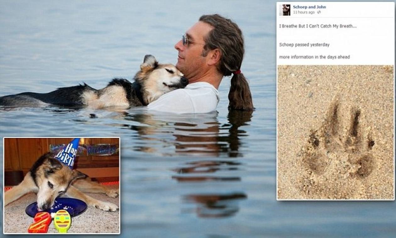 «Έφυγε» ο σκύλος της φωτογραφίας που συγκίνησε χιλιάδες ανθρώπους