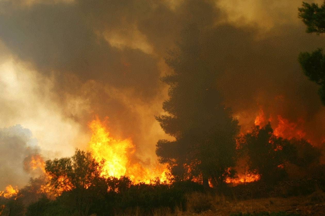 Σάμος: Σε εξέλιξη πυρκαγιά σε δύσβατο σημείο
