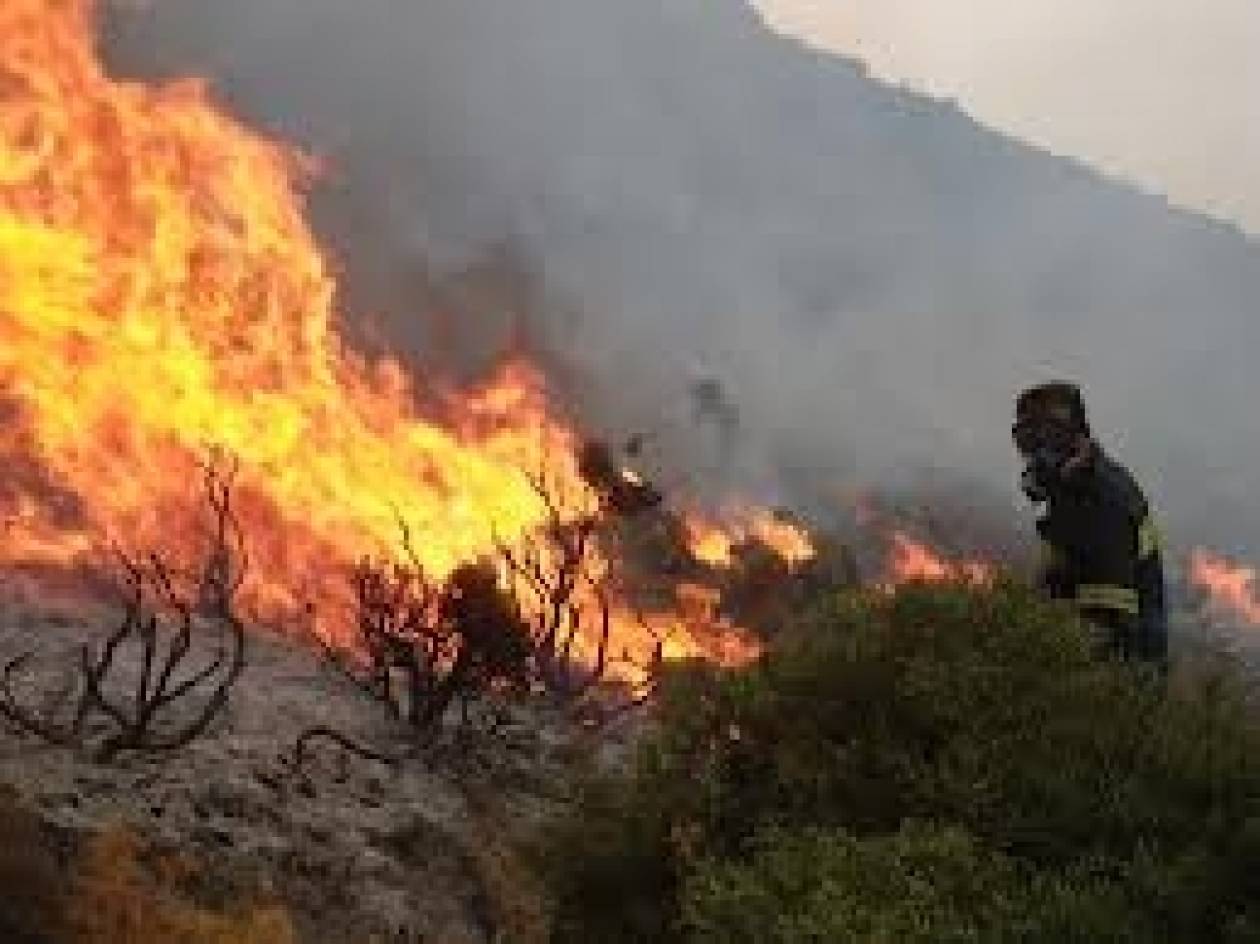 Μεγάλος κίνδυνος πυρκαγιάς στην Κρήτη