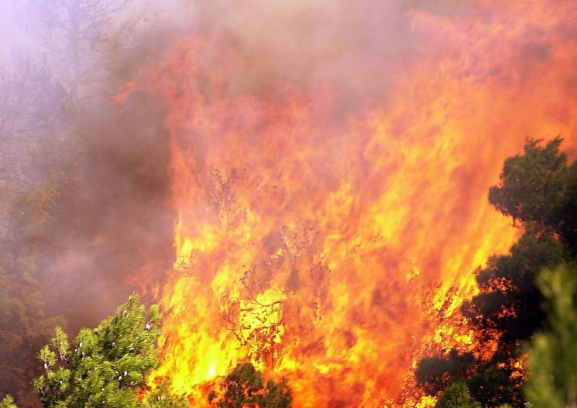 Συνελήφθη ανήλικος για την πυρκαγιά στη Νεμέα