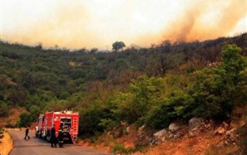 Μυτιλήνη: Τρεις φωτιές μέσα σε λίγες ώρες