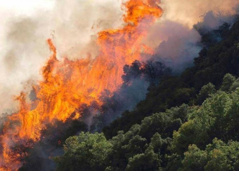 ΣΥΝΕΧΗΣ ΕΝΗΜΕΡΩΣΗ: Πυρκαγιές σε Κρήτη, Σέριφο και Ρόδο