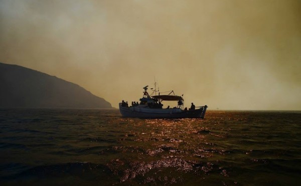 Σέριφος: Έπεσαν στην θάλασσα για να σωθούν από τη φωτιά (photos)!
