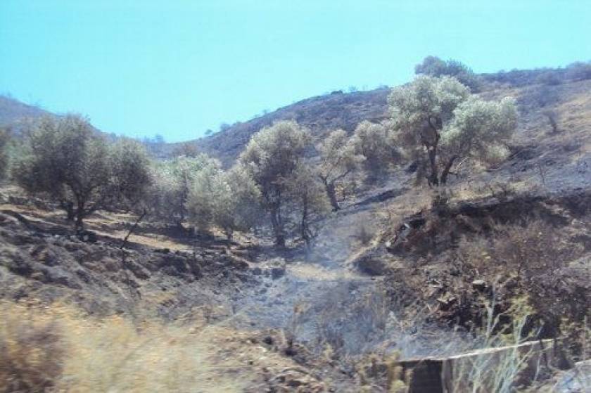 Κρήτη: Σε ύφεση η φωτιά στη Μεσαρά