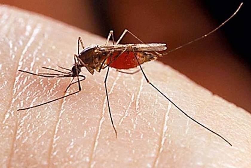 Τρεις «μαγικοί» τρόποι για να κρατήσετε μακριά τα κουνούπια