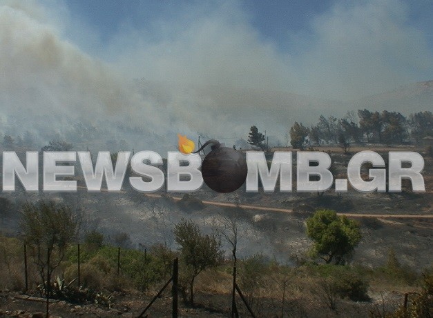 Εικόνες καταστροφής από τη μεγάλη πυρκαγιά στον Μαραθώνα (pics-vid)