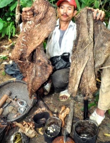 Απίστευτο: Ζούσαν επί 40 χρόνια σε ζούγκλα του Βιετνάμ (pics)